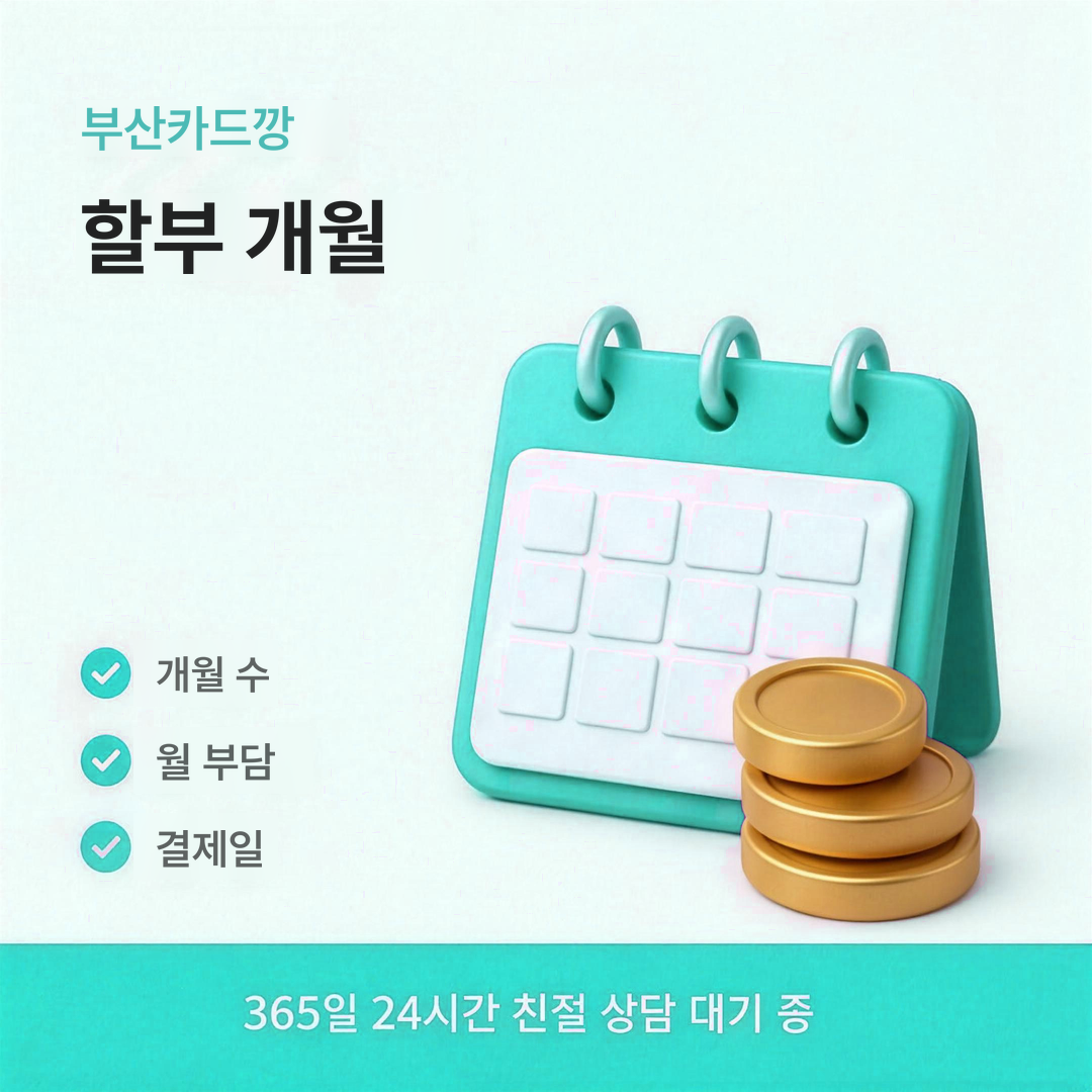 다음머니 부산카드깡 할부 개월 안내 이미지