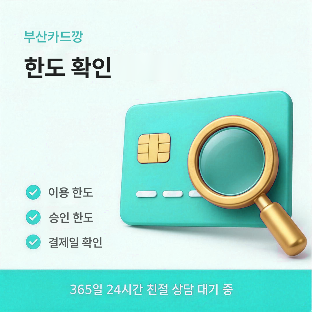 다음머니 부산카드깡 한도 확인 안내 이미지